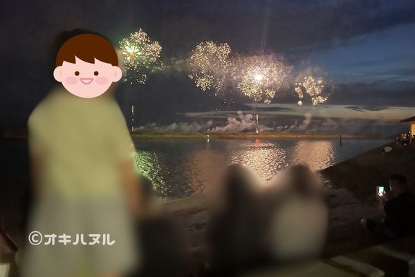 美浜ビーチからの花火の見え方