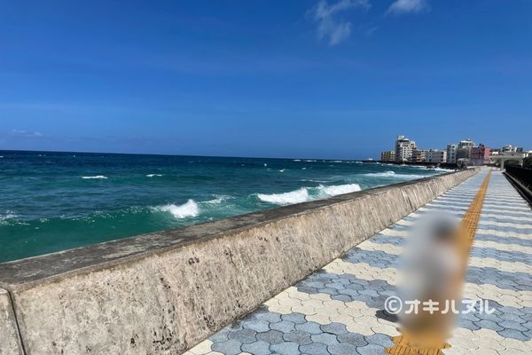 日中の宮城海岸