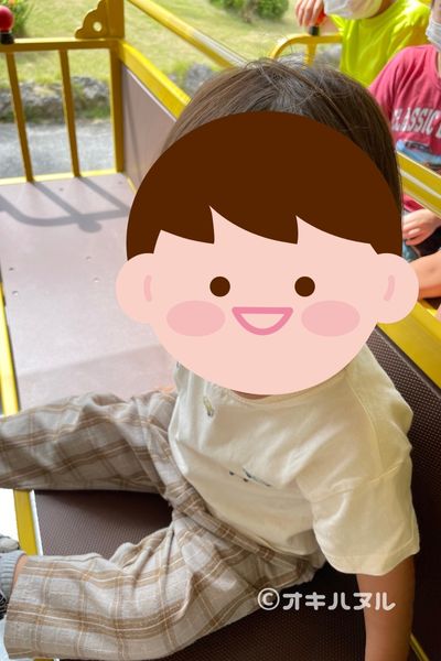 パイナップルパークはひどい?つまらない?子連れで2度訪問した感想|オキハヌル