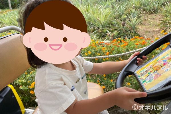 ナゴパイナップルパーク