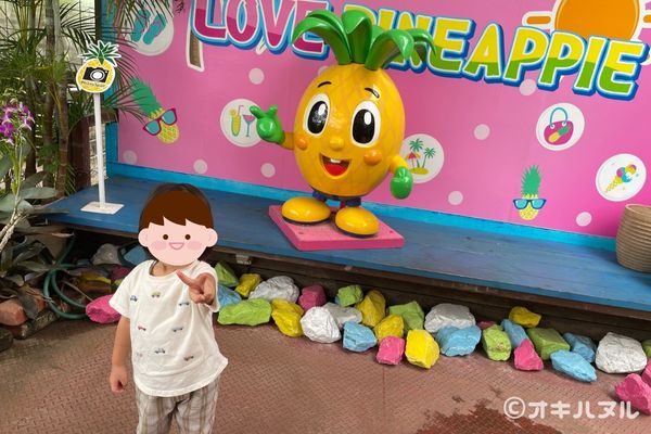 パイナップルパークはひどい?つまらない?子連れで2度訪問した感想|オキハヌル