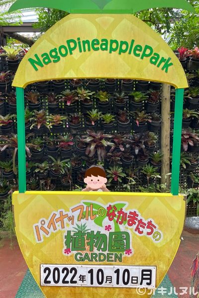 パイナップルパークはひどい?つまらない?子連れで2度訪問した感想|オキハヌル