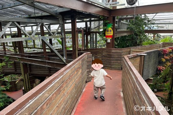 パイナップルパークはひどい?つまらない?子連れで2度訪問した感想|オキハヌル
