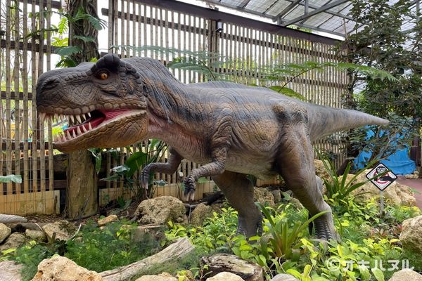 ナゴパイナップルパーク