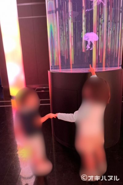 かりゆし水族館はしょぼい?4歳児と行ったリアル体験談|オキハヌル