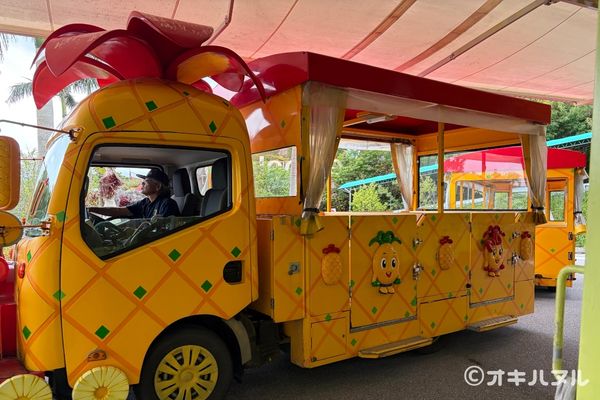 パイナップルパークはひどい?つまらない?子連れで訪問した感想