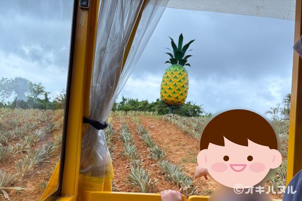 パイナップルパークはひどい?つまらない?子連れで訪問した感想