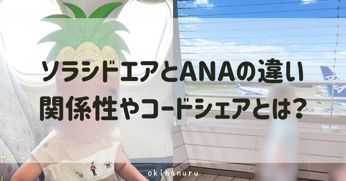 ソラシドエアとANAの違いは?関係性やコードシェアを解説!