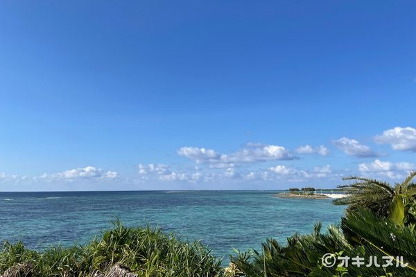 美ら海水族館は行くべきか？年パス所持者が本音レビュー！｜オキハヌル