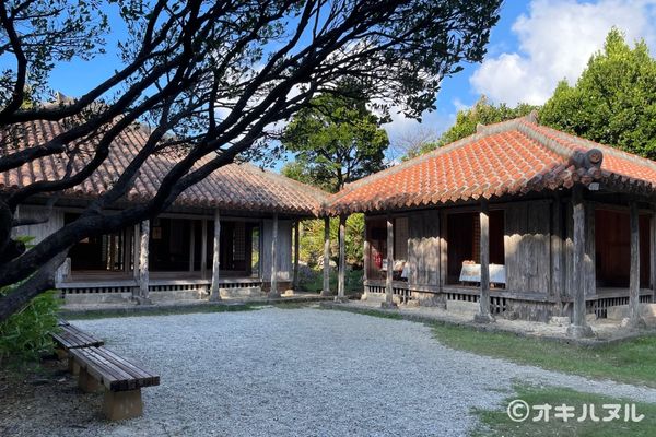 美ら海水族館は行くべきか？年パス所持者が本音レビュー！｜オキハヌル