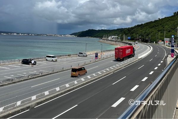 美ら海水族館は行くべきか？年パス所持者が本音レビュー！｜オキハヌル