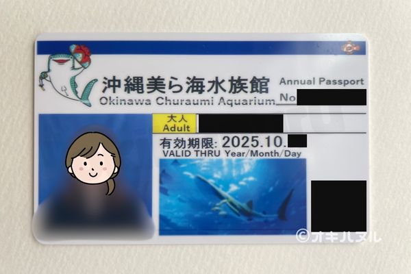 美ら海水族館は行くべきか？年パス所持者が本音レビュー！｜オキハヌル