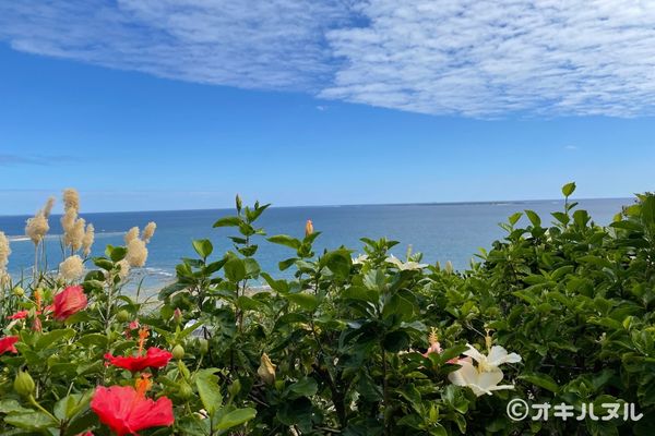 斎場御嶽の駐車場は南城市地域物産館！行き方まとめ
