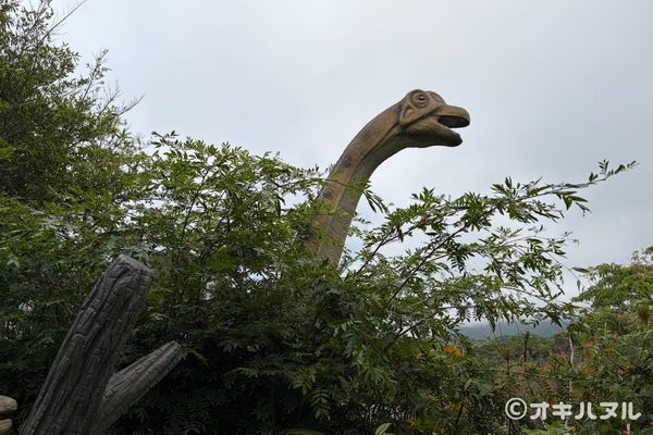 DINO恐竜PARKやんばる亜熱帯の森レビュー！子連れで行った感想