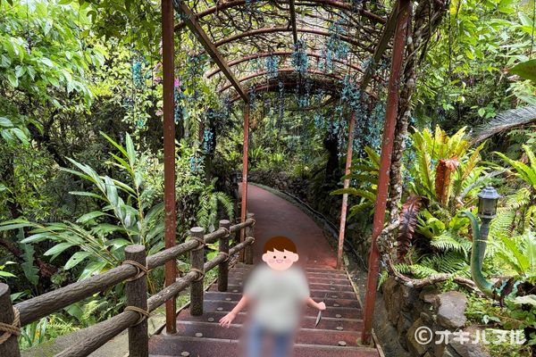 DINO恐竜PARKやんばる亜熱帯の森レビュー！子連れで行った感想