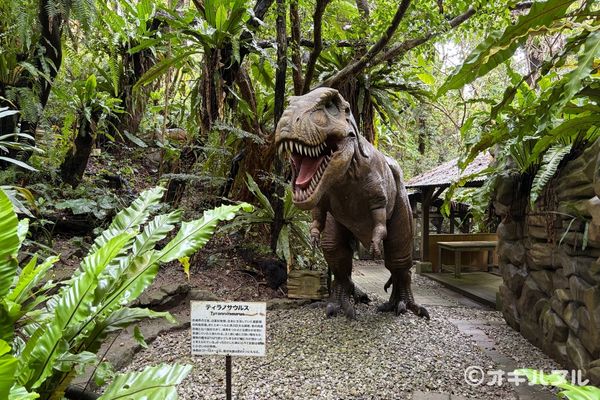 DINO恐竜PARKやんばる亜熱帯の森レビュー！子連れで行った感想