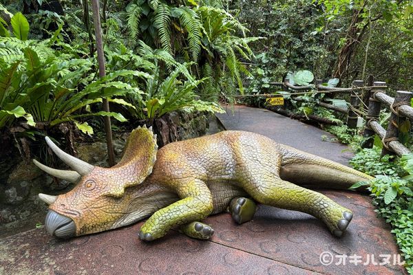 DINO恐竜PARKやんばる亜熱帯の森レビュー！子連れで行った感想