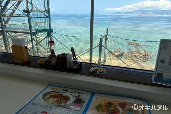 DINO恐竜PARKやんばる亜熱帯の森レビュー！子連れで行った感想