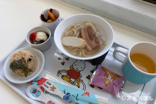 DINO恐竜PARKやんばる亜熱帯の森レビュー！子連れで行った感想