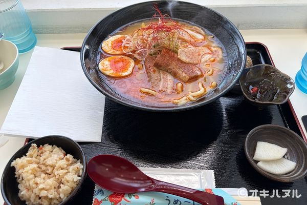 DINO恐竜PARKやんばる亜熱帯の森レビュー！子連れで行った感想