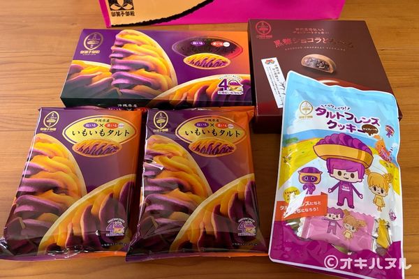 DINO恐竜PARKやんばる亜熱帯の森レビュー！子連れで行った感想