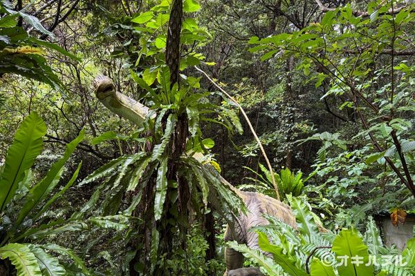 DINO恐竜PARKやんばる亜熱帯の森レビュー！子連れで行った感想