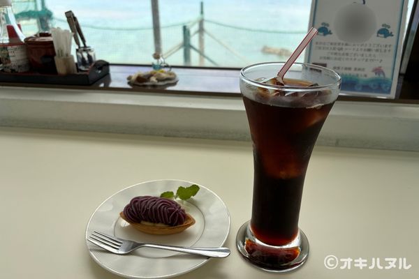 DINO恐竜PARKやんばる亜熱帯の森レビュー！子連れで行った感想