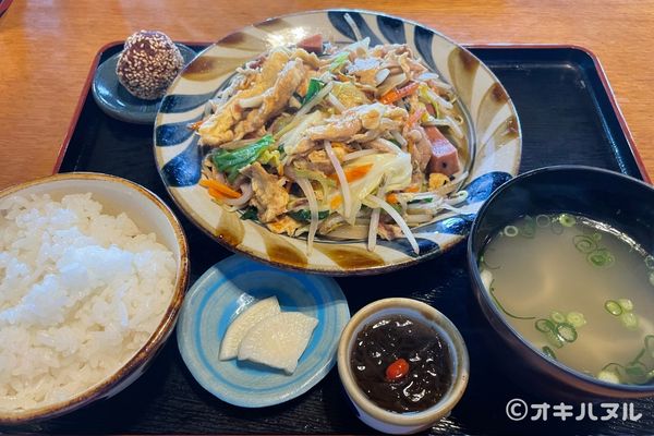 DINO恐竜PARKやんばる亜熱帯の森レビュー！子連れで行った感想