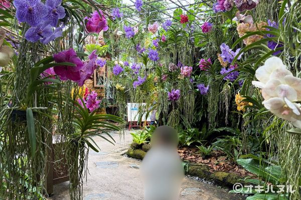 遠見台を降りて進むと、やっぱりジブリっぽい雰囲気がありました。