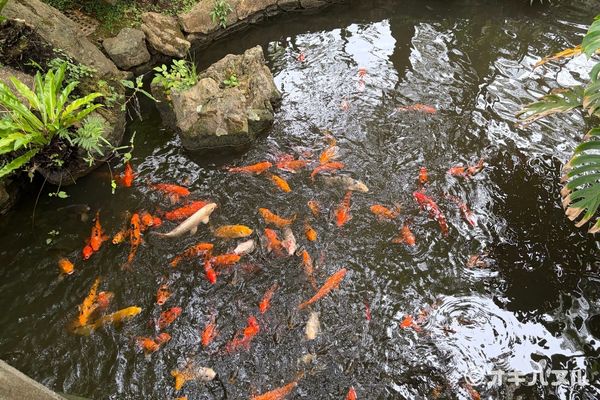 遠見台を降りて進むと、やっぱりジブリっぽい雰囲気がありました。