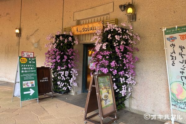 遠見台を降りて進むと、やっぱりジブリっぽい雰囲気がありました。