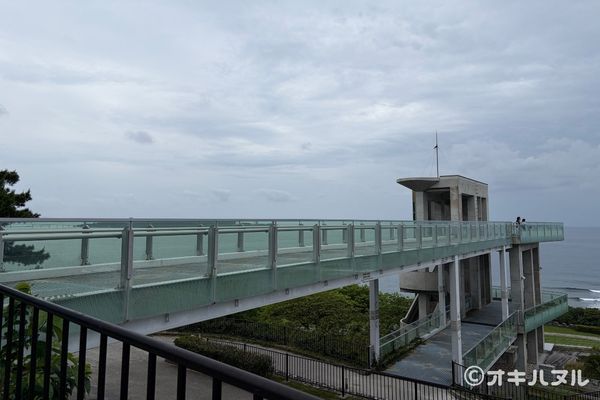 遠見台を降りて進むと、やっぱりジブリっぽい雰囲気がありました。