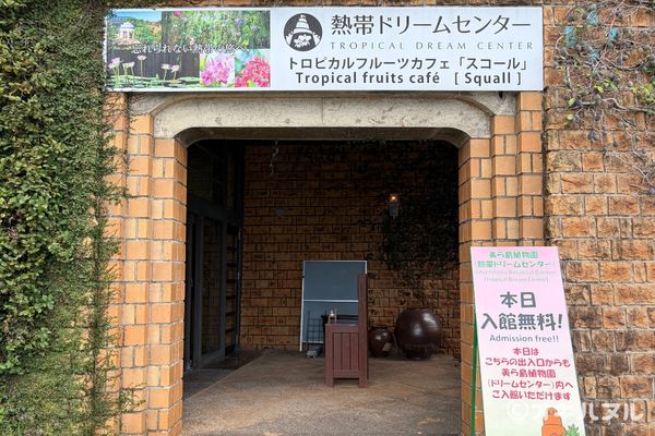 遠見台を降りて進むと、やっぱりジブリっぽい雰囲気がありました。