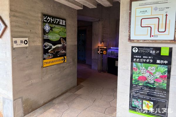 遠見台を降りて進むと、やっぱりジブリっぽい雰囲気がありました。
