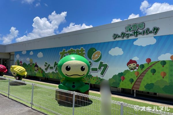 シークワーサーパークの所要時間は？実際に行って分かった見どころや口コミをレビュー！