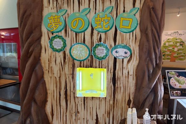 シークワーサーパークの所要時間は？実際に行って分かった見どころや口コミをレビュー！