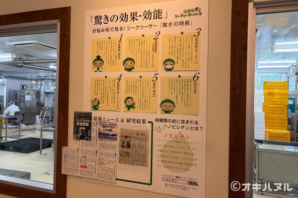 シークワーサーパークの所要時間は？実際に行って分かった見どころや口コミをレビュー！