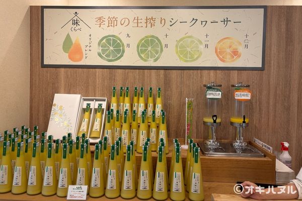 シークワーサーパークの所要時間は？実際に行って分かった見どころや口コミをレビュー！