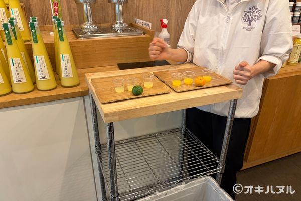 シークワーサーパークの所要時間は？実際に行って分かった見どころや口コミをレビュー！