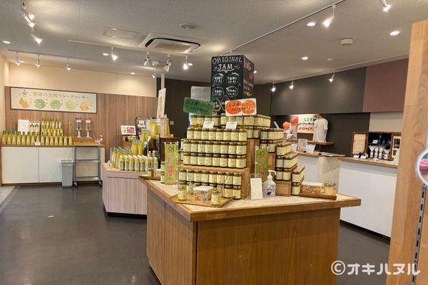 シークワーサーパークの所要時間は？実際に行って分かった見どころや口コミをレビュー！