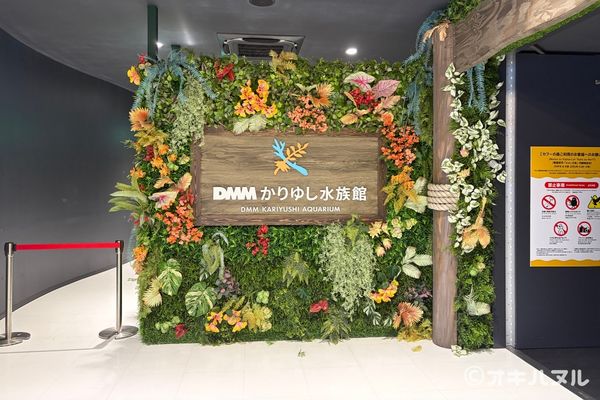 DMMかりゆし水族館の所要時間は?子連れで実際にかかった滞在時間