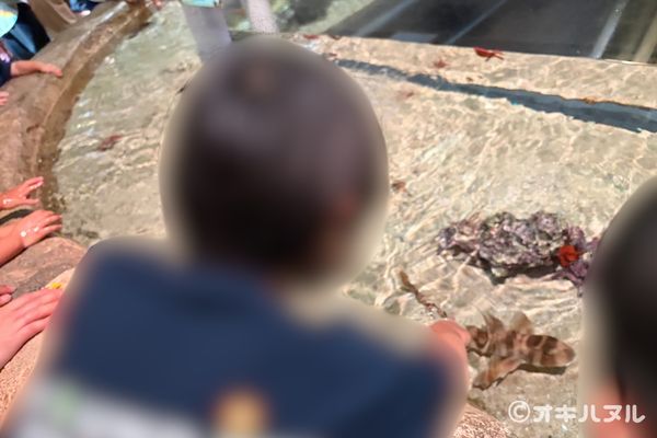 DMMかりゆし水族館の所要時間は?子連れで実際にかかった滞在時間