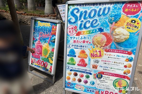 琉球村の所要時間は？子連れで実際にかかった滞在時間