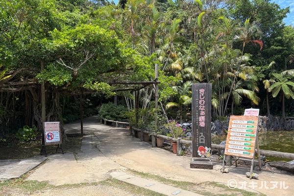 琉球村の所要時間は？子連れで実際にかかった滞在時間